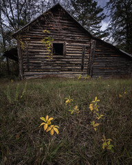 Vertical shot of an old, wooden barn in a forest in North Carolina