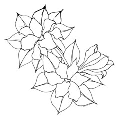 Hand-drawn flowers and leaves are isolated on white. Tattoo design, coloring page, wedding decoration, monochrome vector line art a lovely floral creation in the style of the past