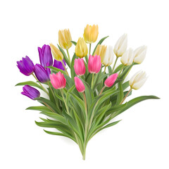 Multicolour bouquet of tulips realistic 3d vector illustration. Yellow, white, pink, purple tulips with leaves isolated on white. Women day 8 march spring symbol. Bouquet fresh shiny tulips 