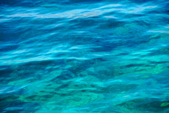 The seabed that can be seen through the transparent blue-green sea water
