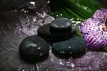 Obraz na płótnie Canvas Spa stones with orchid flower and water on dark background