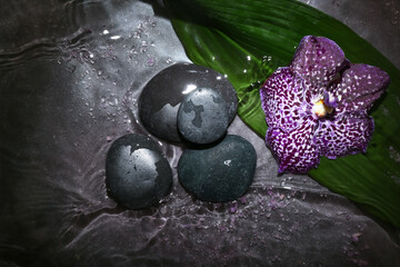 Spa stones with orchid flower and water on dark background