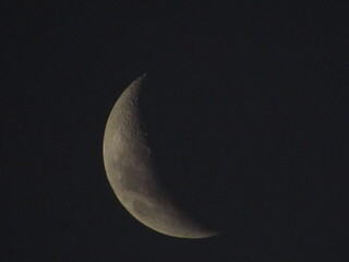 Naklejka premium moon