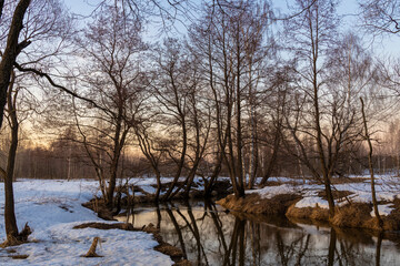 Melting ice and snow. Spring landscape, evening forest with a river. The beginning of spring....