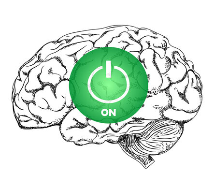 CEREBRO ENCENDIDO 
ON / PENSAR / CREATIVIDAD