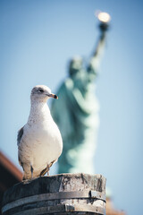 statue of liberty in new york
