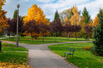 jesień, park, alejka, aleja, ławka, kolory, niebo, rozdroże, drzewa, liście, jesienią, złoty,...
