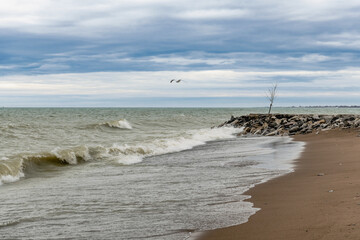 Waves rolling onto the shore of Lake Ontario in spring, with a sea gull hovering in the air.  Shot in Toronto's iconic Beaches neighbourhood. Room for text	
