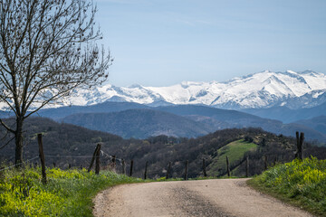 landscape of southwestern France with the Pyrenees mountains in the background
