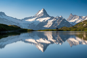Naklejka premium Schreckhorn and Bachalpsee on a beautiful summer morning