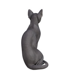 Sphynx cat isolated on white background. 3d rendering-illustration.