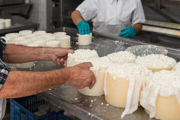 2 older people working in a family-run fresh cheese business
