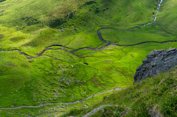a meandering free flowing mountain creek in Grindelwald