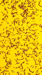 Chocolate sprinkles falling down with yellow background