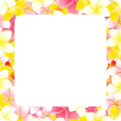プルメリアの花飾りと白いコピースペースのイラスト