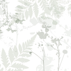 Delicate vector pattern wild flowers botanical background
