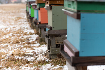 Apiary in winter. Colorful hives of bees in the meadow near the forest. Frost and a thin layer of snow.