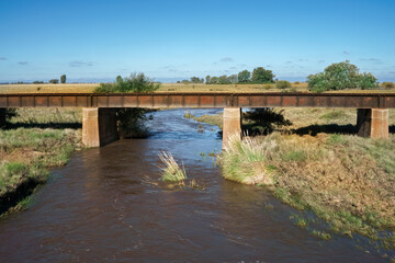 Fototapeta na wymiar simple iron bridge for crossing train tracks crossing a river with vegetation in rural landscape