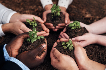 Work together, grow together. Cropped shot of a group of businesspeople holding plants growing out...