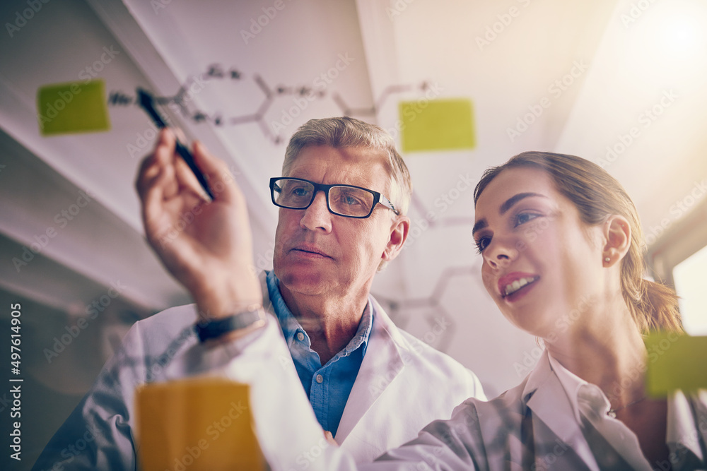 Poster this makes a whole lot of sense. shot of two focused scientists working together solving equations o