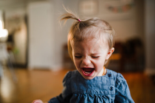 toddler has tantrum