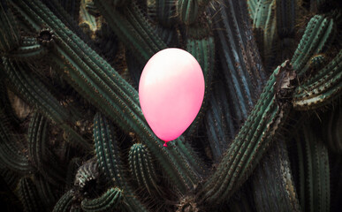 Pink balloon surrounded by dangerous cactus 