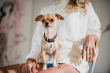 Woman sits in her studio with a chihuahua on her lap.