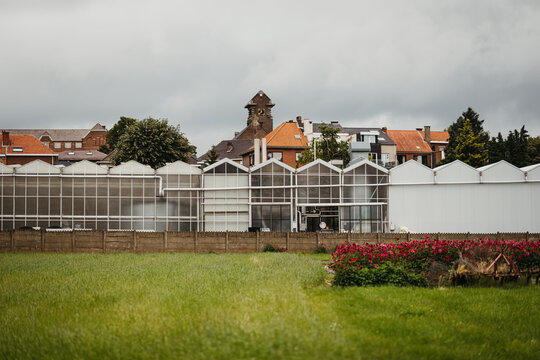 Outside image of a greenhouse