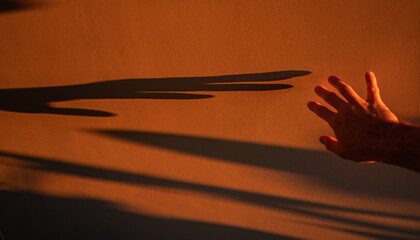 Touch the Shadow in the Morning