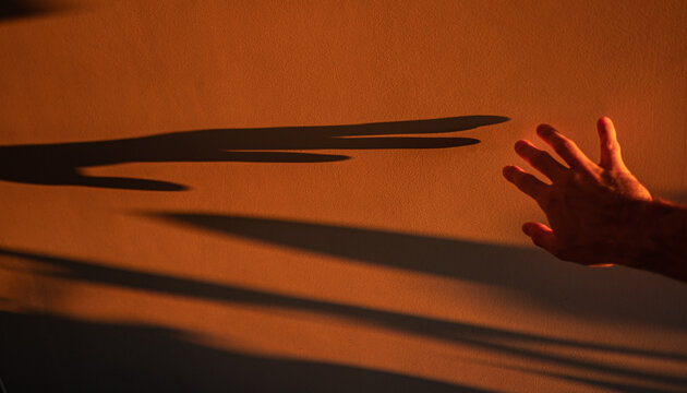 Touch the Shadow in the Morning