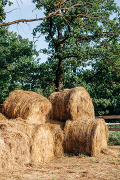 A stack of hay