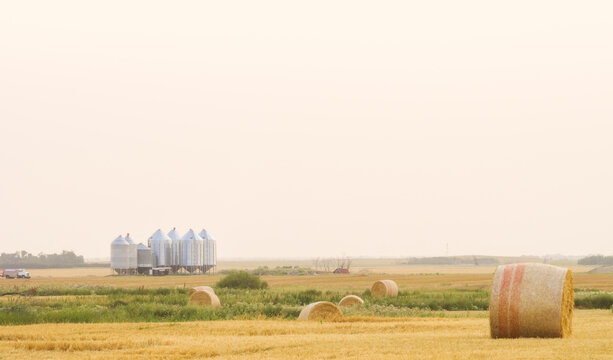 combine harvester working on wheat field