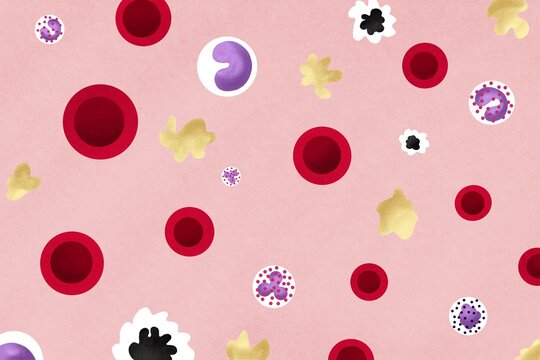 Blood Cells Illustration