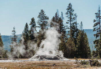 Geysers in Yellowstone National Park.