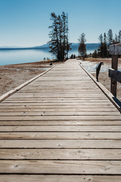 Lakeshore Geyser at Yellowstone National Park.