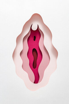 Anatomical structure of female vagina made of paper