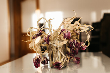 vase with dry tulips