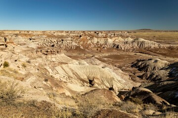 Desert landscape