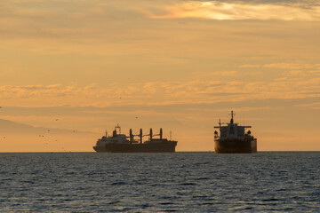 Fototapeta premium Canadian Coastal Strolls in Vancouver