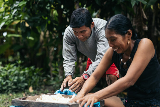 Preparation of the farina