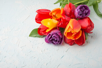Multicolored tulips on a light background, with empty space for writing or advertising