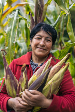 Portrait latin woman with ears of corn
