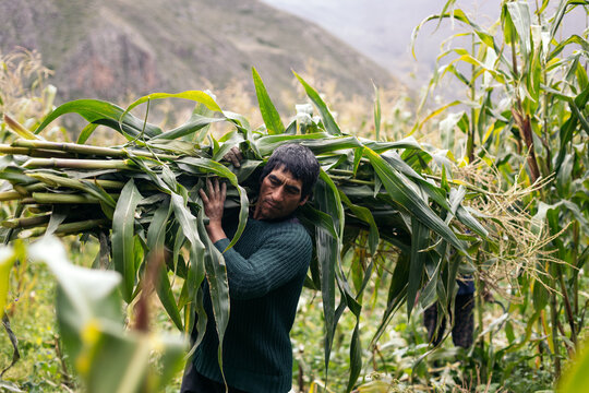 Hispanic man working on a farm