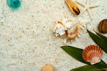 白い砂浜のガラス玉と貝殻と木の葉 - obrazy, fototapety, plakaty