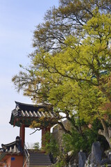 Fototapeta premium The door to heaven