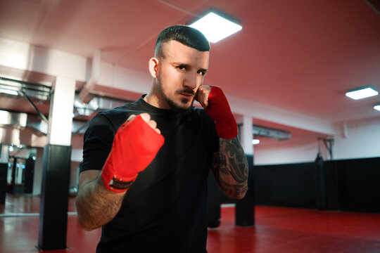 Boxer training in gym.