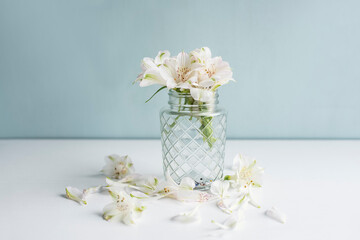 Delicate small bouquet of white alstroemeria flowers on a light pastel background. Spring holidays and Easter holidays. Mothers Day. Romantic postcard.