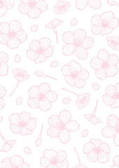 Fototapeta na wymiar オシャレで優しい手描き桜の線画背景