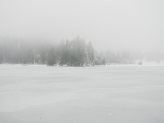 Fog snow landscape forest