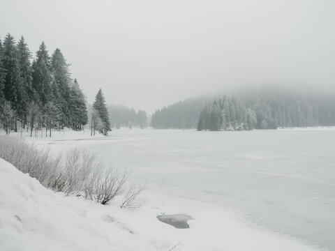 Fog snow landscape lake